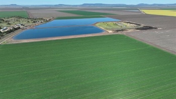 Irrigated cotton, grain operation on the renowned Liverpool Plains | Video