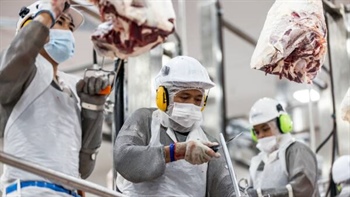 Where beef processors are spending their US-driven profits and why