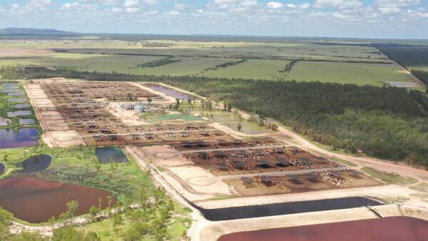 Feedlot giant to divest sites after capital restructure stirs buyer interest