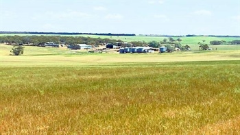 Sweet limestone farmland close to fast developing feed grain markets