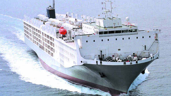 Wellard's loyal Holmes à Court family quits shares as live-ex compo case drags on