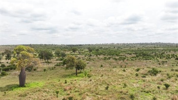 Labor kicks off $250m plan to snap up private rural land for conservation