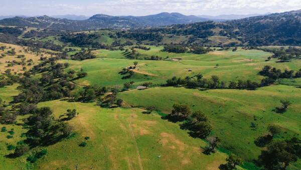 'Top of the world' grazing on reliable high-rainfall range country | Video