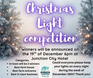 Christmas Light Competition