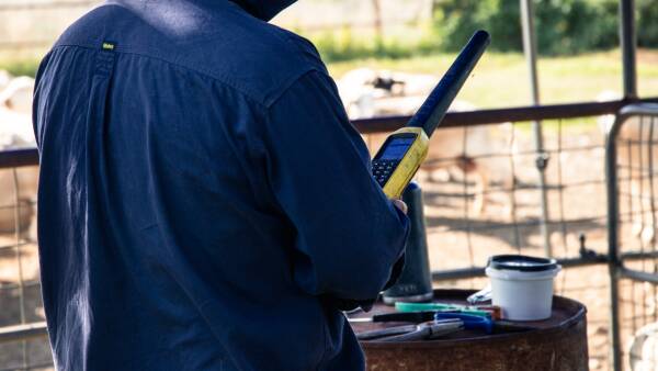 State by state: eID funding concerns grow as producers foot the bill