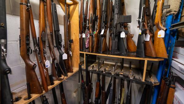 Bondi to the bush: farmers brace for biggest gun law overhaul in 30 years