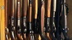 Guns back in the firing line as parliament looks to fast-track reforms