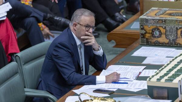 No price tag, no unity, compo questions: Albo's big gun buyback problems