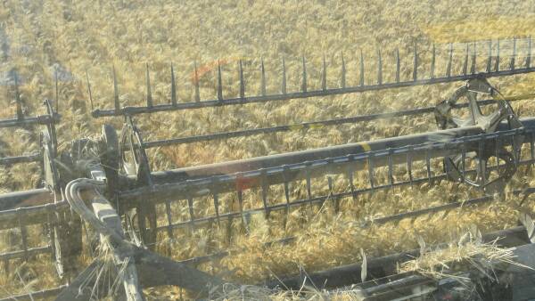 The key input cost reductions farmers are targeting ahead of new season