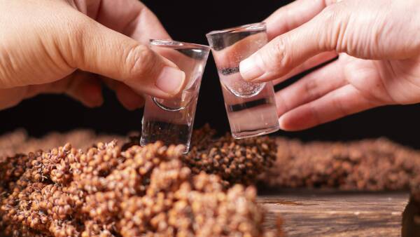 Baijiu boom: Chinese spirit demand insulates sorghum from grain price slump