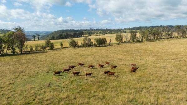Eastern escarpment country with potential for increased productivity