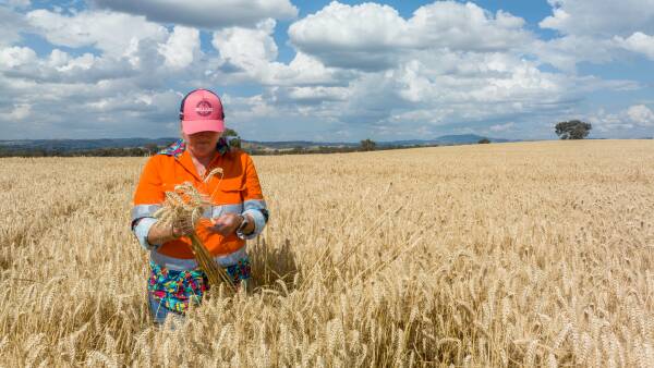 The speculator's bet: what it really means, and how you can profit from it