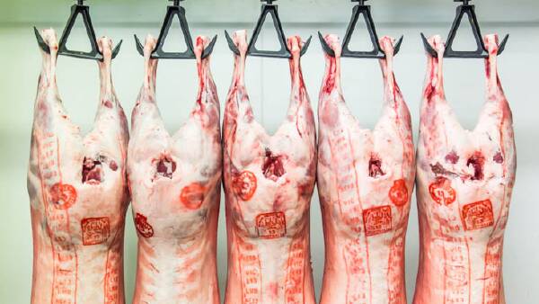 Modest but meaningful: late-year data shows sheep trading conditions firm