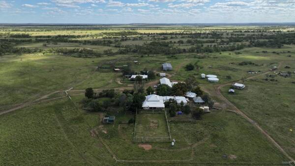 Large scale operation proven to fatten, background, breed cattle | Video