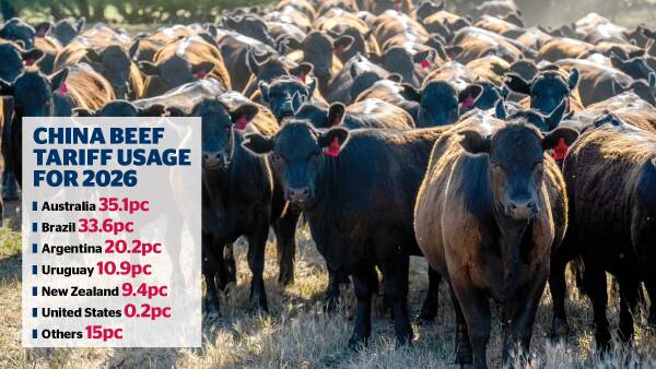 'Testing year': Australia to hit China beef tariff wall in just two months