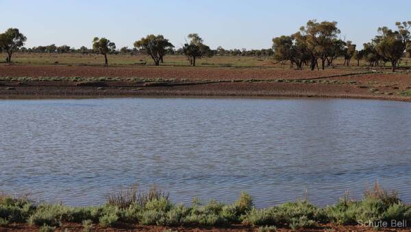 Well located riverfront property with 300 megs of water heads to auction