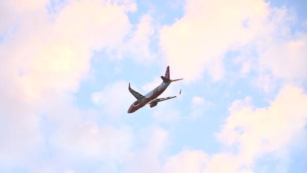 Up in the air: Labor models jet fuel crisis plans, ag risks being sidelined