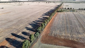 Canadian-owned Altora Ag to offload prime NSW farming country