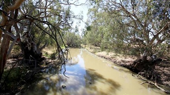 Flood hit irrigation farm called 'value for money' finds a buyer