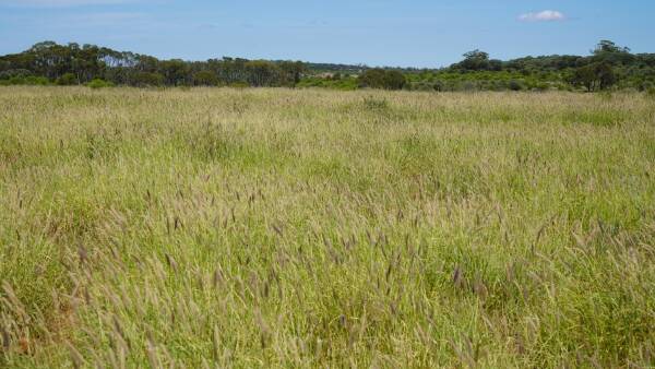 Maranoa grazing property for 700 breeders sold two years after auction