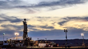 High stakes race for cheap domestic urea: why we wait for Neurizer to rise