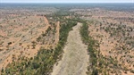 The Twelve Mile offers significant mulga reserve feeds ideal for a dry time