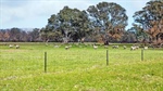 Fire-hit Dadswells Bridge farm block founds a buyer in post-blaze sale