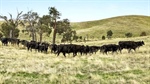 Price slashed on historic Central Victorian farm as new agents step in