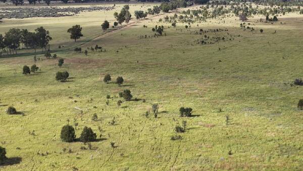 Cattle property Durrandella naturally split by Great Dividing Range | Video