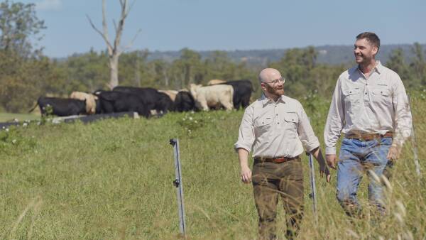 Waste into weight: the product claiming big wins for grass-fed producers