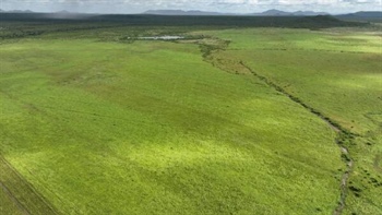 Major cattle property offered walk in, walk out with 2000 breeders | Video