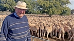 Freebairn family to sell 117,125 acre Gilles Downs sheep station