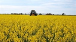 Secure blue ribbon Wimmera cropping country for $4000 an acre