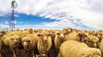 Mighty pastoral land sale as sheep dynasty forges ahead with succession plan