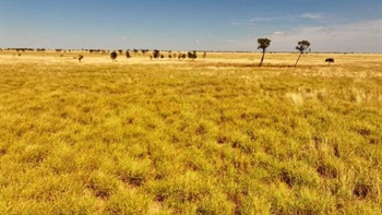Productive Lorne Station offered with exceptional grass and water | Video