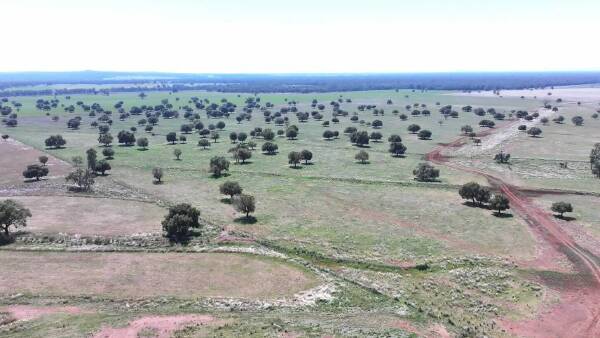 Keigho with excellent balance of grazing, productive cultivation country