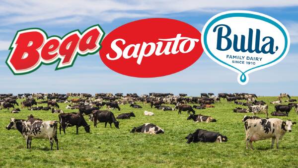 A look at all of the opening prices announced by Australian milk processors
