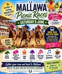 Mallawa Races