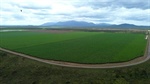 Corporates showing an increasing appetite for Qld's prized Burdekin region