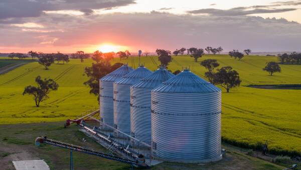 Global grain glut: how bumper harvests are overriding geopolitical tensions
