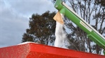 Caught in the crossfire: retailers and farmers lose to 'distorted' fert prices