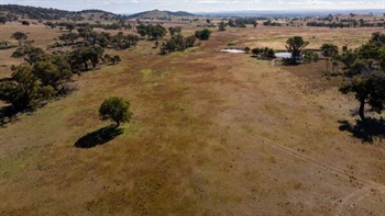 Quality livestock breeding, grazing property with upside for sale | Video
