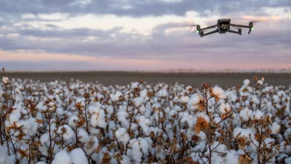 Everything you need to know about drone spray regulations wherever you are