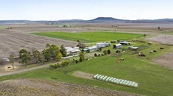 Glencoe a productive 260 acre farm with 84 meg irrigation licence | Video