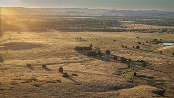 Outstanding, large scale Central Qld cattle country hits the market | Video