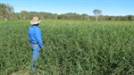 Drought-proof cattle fattening country at an attractive $7000 a beast area