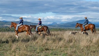 Quality country with outstanding views to the Great Dividing Range | Video