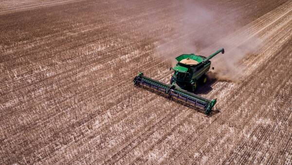 Feeling déjà vu? Why an El Nino and a heatwave can't move current grain prices