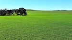 Historic 2635ha Mid North farm portfolio listed for sale after 150 years
