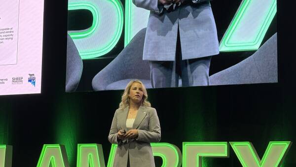 Sheep industry's future in broad strokes: what planned launch actually delivered